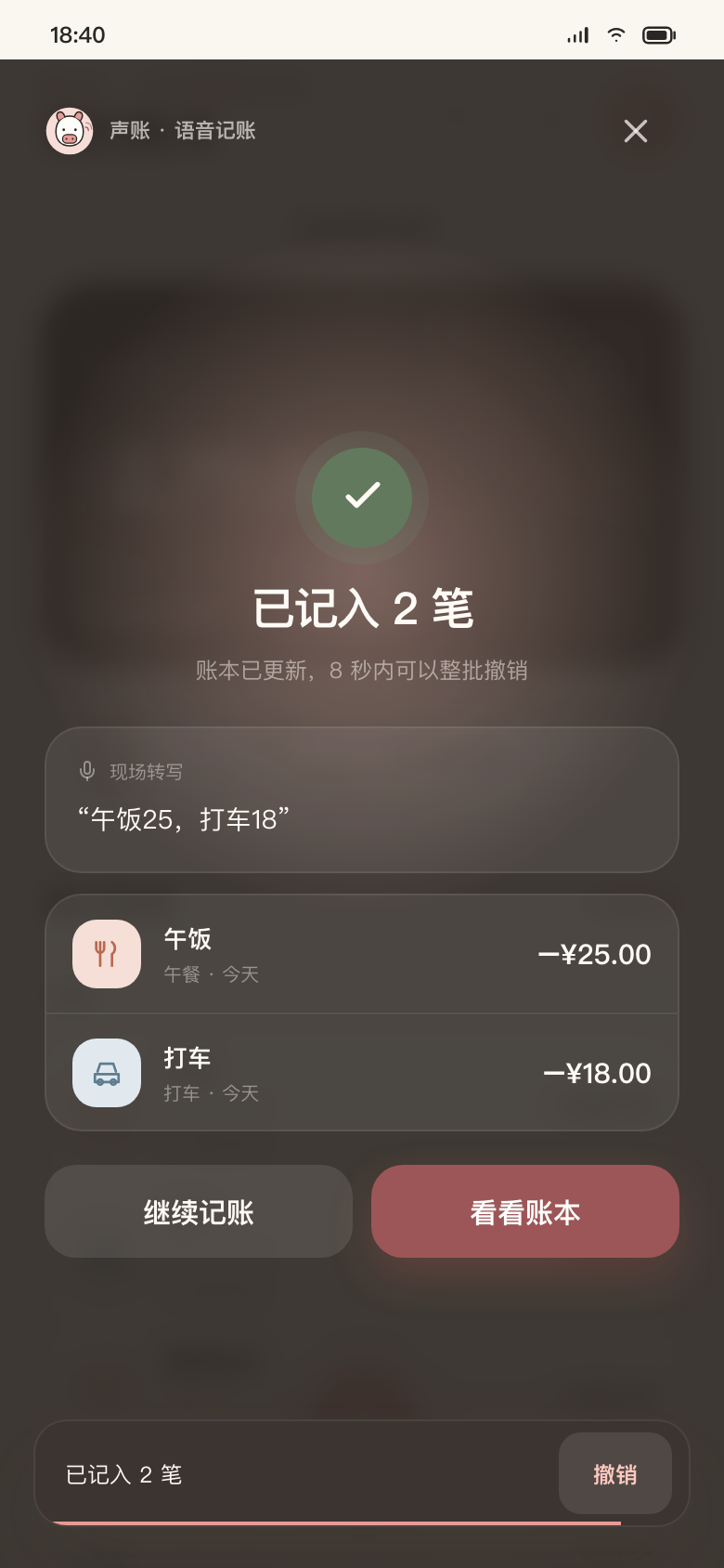 声账语音记账结果页面